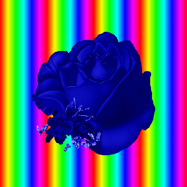 belle image